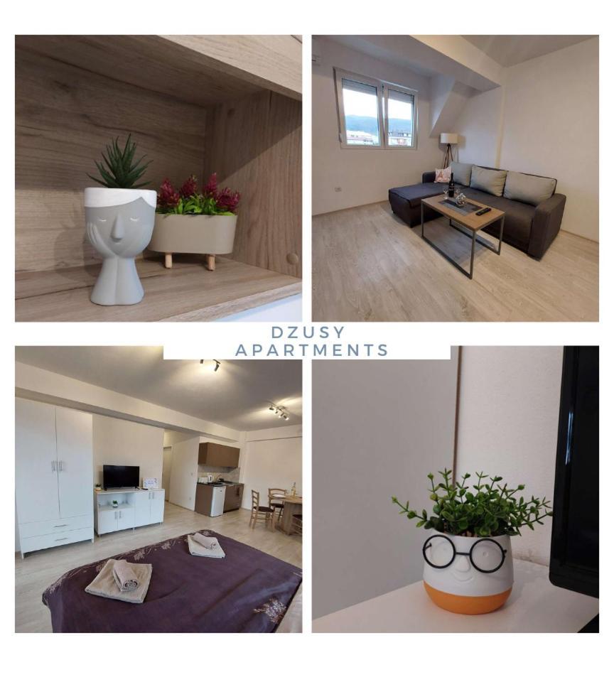 Dzusy Apartments Ohrid Luaran gambar